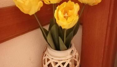 Charming apartment in São Pedro do Sul 30 m² with lake view - Foto 5