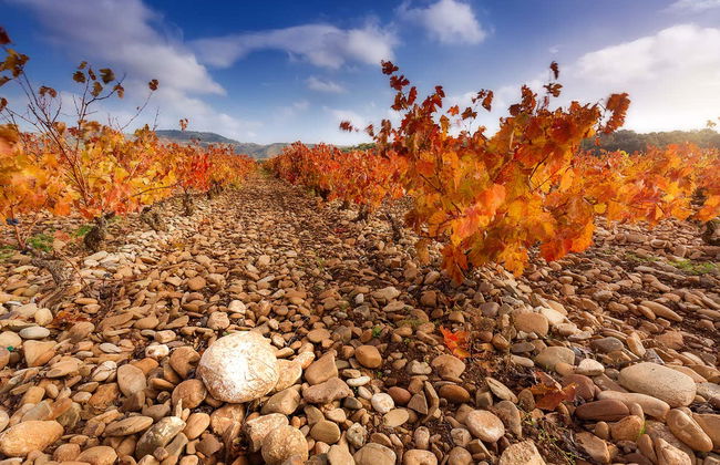 Visita a la finca Valpiedra - Foto 6
