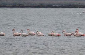 Verbena House - Foto 41