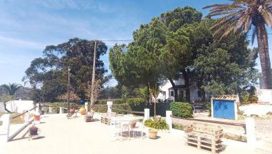 Quinta do Lagar - 05 - Photo 1