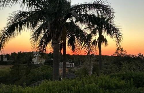 Monte Borboleta - Villas, Apartments - Foto 51