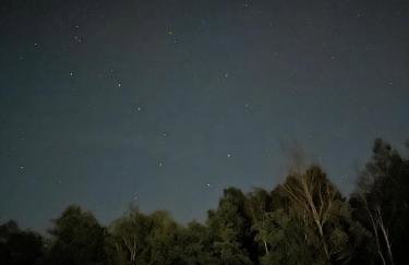 Wilga Leśne SPA - Foto 51