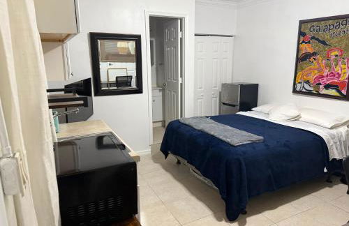 My Garden in Miami Florida - Photo 14