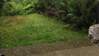 On the hill - Foto 2