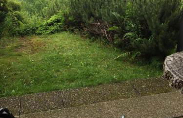 On the hill - Foto 2