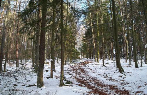 Blockhaus Hedwig - Photo 60
