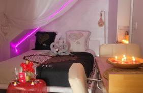 Au Fil De l' Eau 21 rue des Minotiers 43110 Aurec-sur-loire - Foto 27