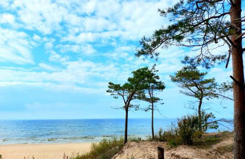 Apartament Leśny - Foto 22