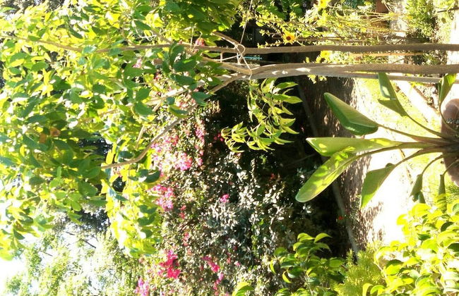 Foximanna on the North Floor in a Villa Surrounded by Greenery Facing the sea - Photo 54