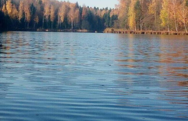 Far Cordon - Photo 13