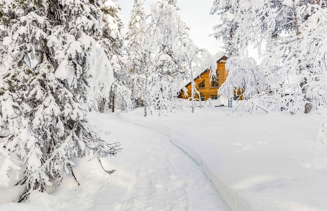 Lappi dream house - Foto 25