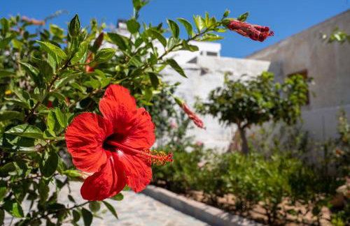 Amalthea House 2 - Foto 24