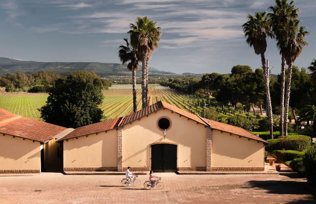 Sella&Mosca Casa Villamarina - Foto 1