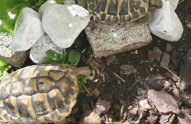 annecy poisy Studio a 9 minutes du lac Annecy - Foto 41