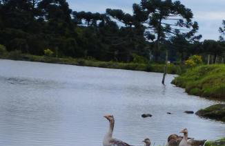 Recanto do lago - Foto 39