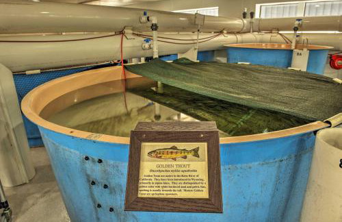 Large Ten Sleep Home on Main St, 10 Mins to Canyon - Foto 29