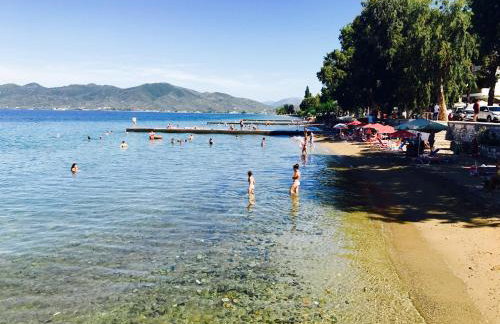 Calypso Beach Hotel - Foto 49