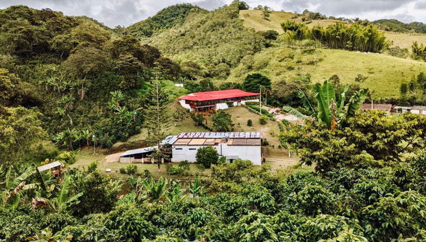 Tour do café por Cali - Foto 2