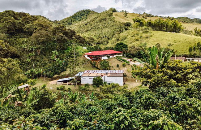 Visite autour du café de Cali - Photo 2