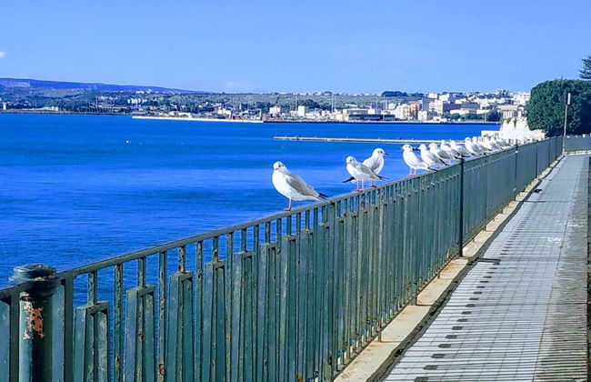 Central Cozy Apartment 70m2 In '700s Baroque Building - Foto 36