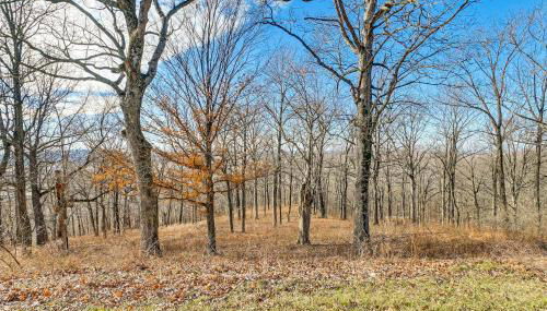 Spacious Shawnee Forest Hideaway! Hilltop Estate - Foto 5