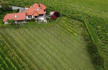 Villa Lotus - Foto 27