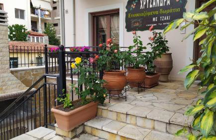 Chrysandra - Foto 12