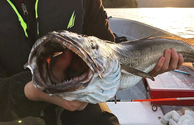 Holiday Home in EidsvÃ¥g - Foto 27