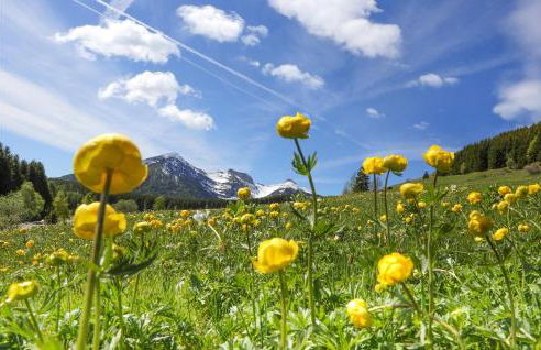 Stunning Apartment In Stenico With Wifi - Foto 7