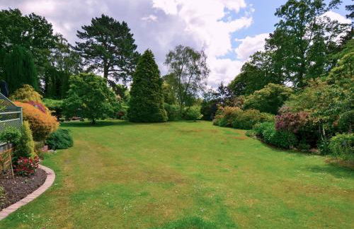 Alices Lodge - Foto 12