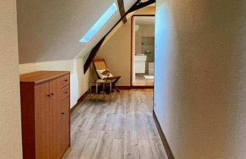 Gîte viticole tout inclus, jardin 3000m², vélos offerts, proche Saumur-Chinon-Langeais - FR-1-381-606 - Foto 23