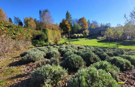 Czarnydomek - Foto 43