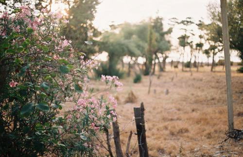 Casa Vacanze VerdeMare - Foto 32