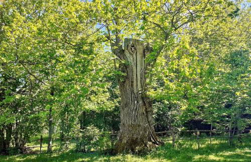 Borgo Castelluccio Country House - Foto 16