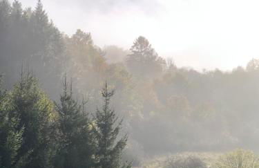 House with a View - Modernes Ferienhaus in der Eifel - Foto 27