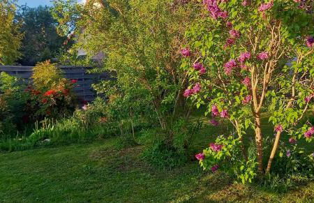 La Petite Maison - Foto 33