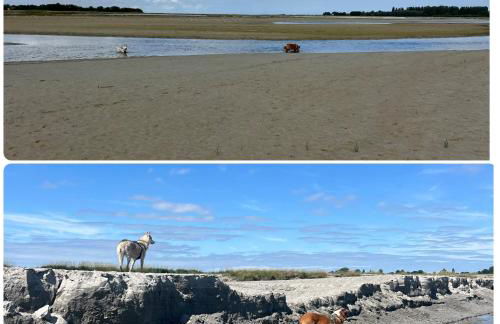 Gîte des Hirondelles n - Foto 33