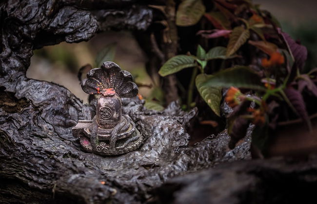 Mingtang Boutique Cottage - Photo 66