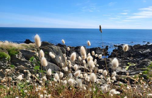 Maison Ty Mel à 3 km des plages - Foto 22