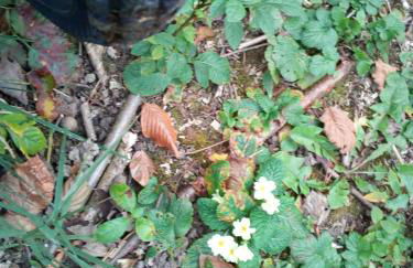 AGRITURISMO MASO PERTENER -adults friendly- - Foto 56