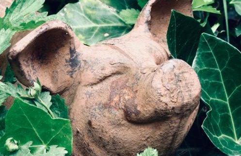 Ferienwohnungen Klosterhof1595 - Foto 55