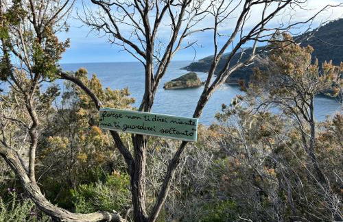 Villa Il Guardingo - Photo 67