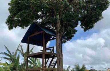 LD House- Bananeiras - Photo 28