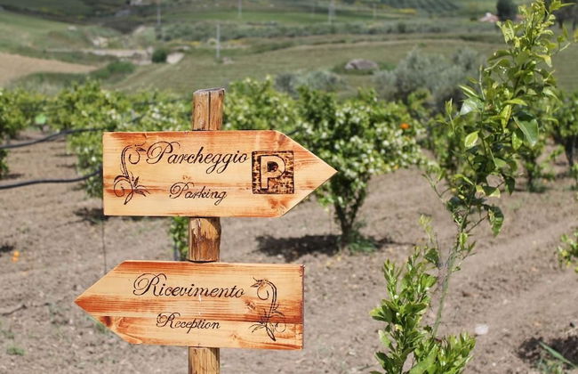 Tenuta Lanza Il Mulino - Photo 28