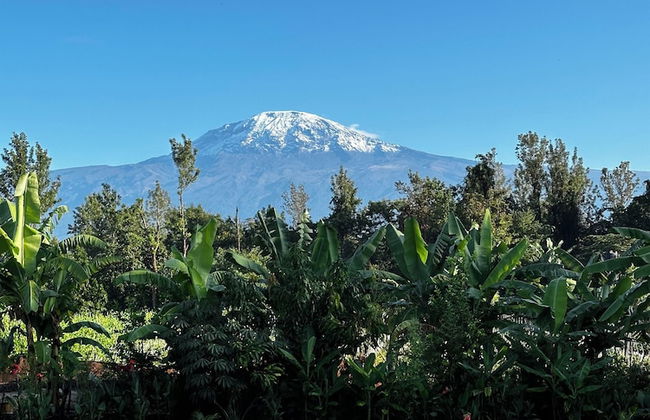 Shose Farmhouse Chalets & Campsite - Photo 57