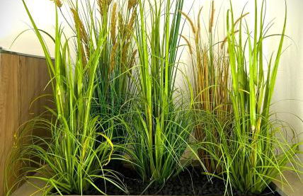 Elegante Dreizimmer-Wohnung - Foto 7