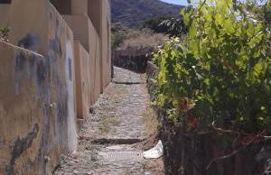 la casa di titti e jack - Foto 47