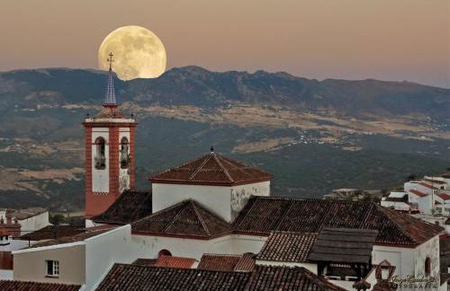 casa del gastronomo - Foto 11