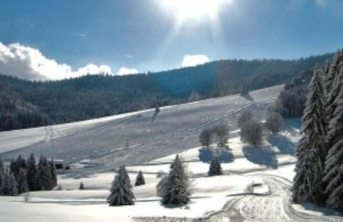 Studio Nr. 312 im Haus Alb - Foto 6