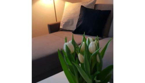 Holiday Apartment Bathmann - Foto 3